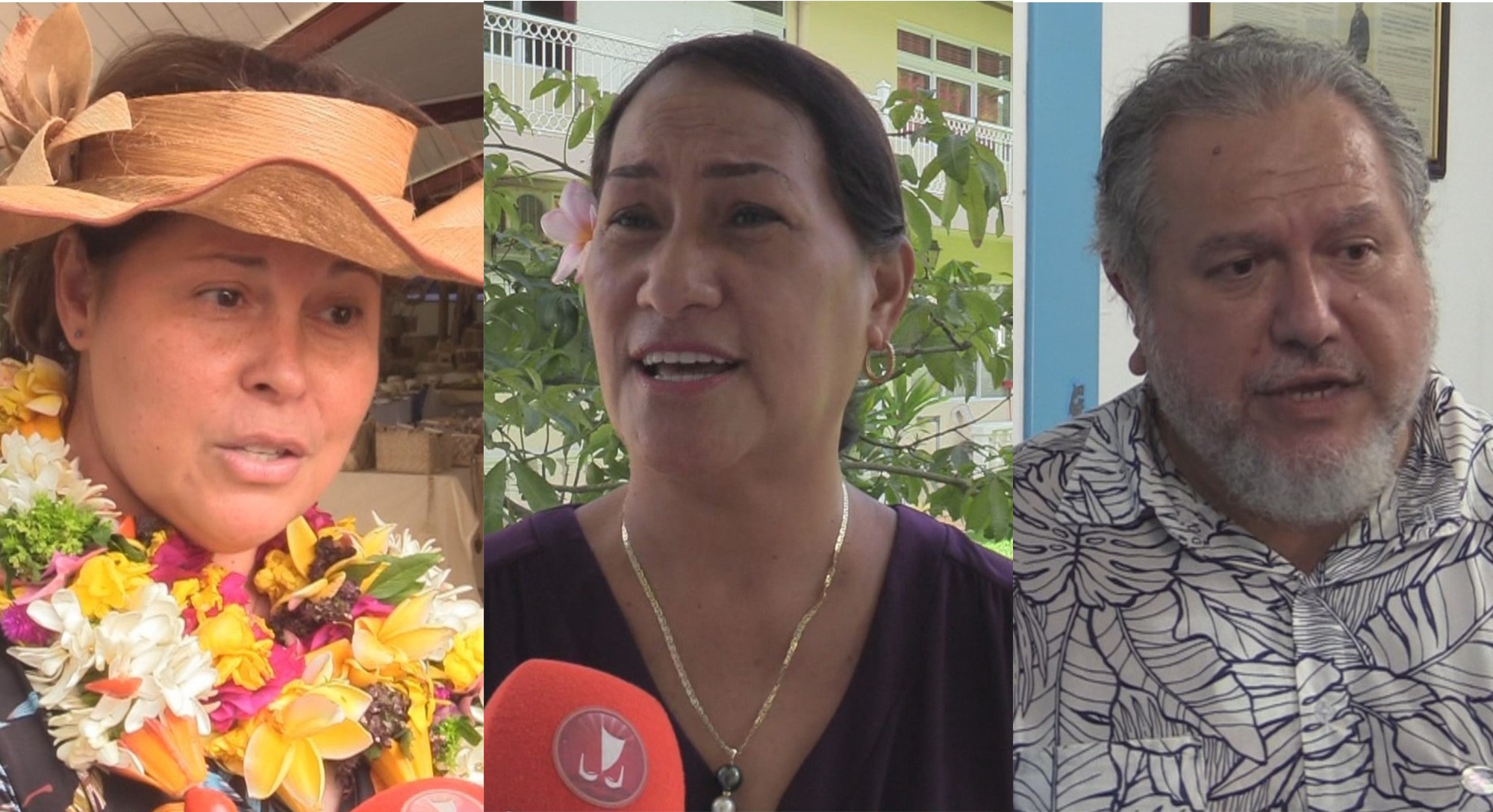 Législatives : après la présidentielle, cap sur le "troisième tour" • TNTV Tahiti Nui Télévision