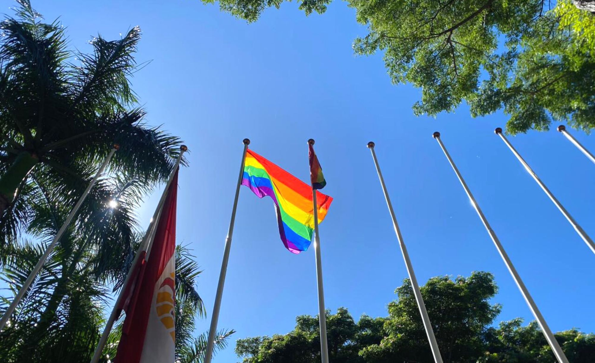 Des drapeaux LGBT installés pour la première fois à la présidence et à la  vice-présidence • TNTV Tahiti Nui Télévision