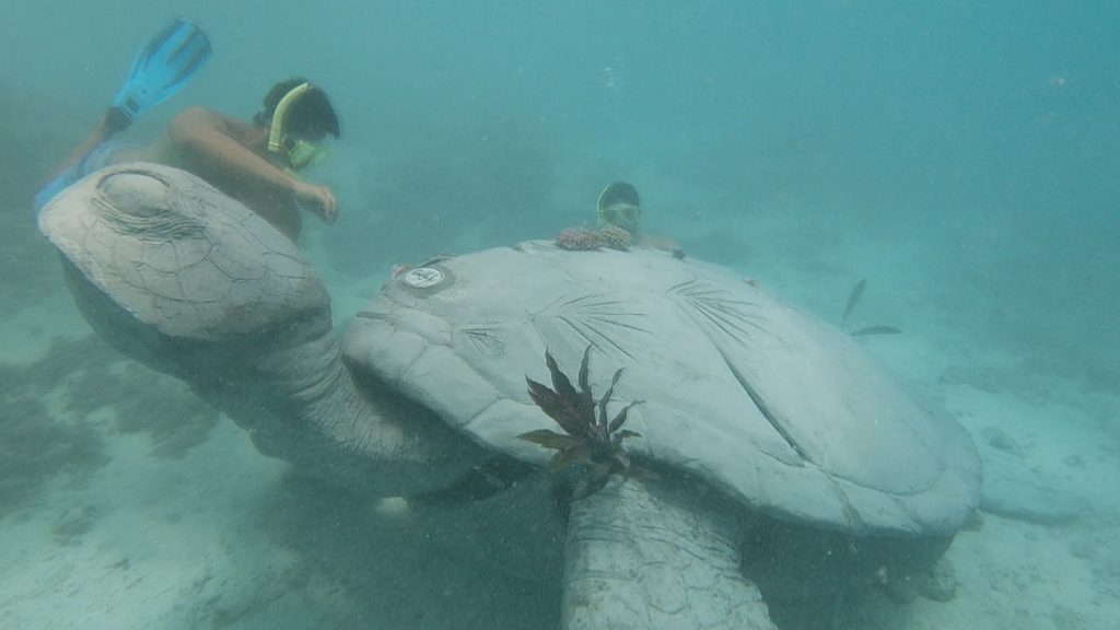 Chasse sous-marine : prévenir pour éviter les drames • TNTV Tahiti Nui  Télévision